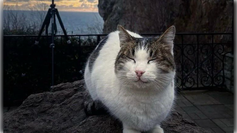 Фото: Соцсети