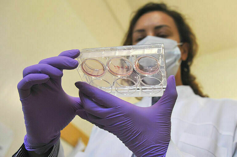   Александр Авилов / АГН Москва