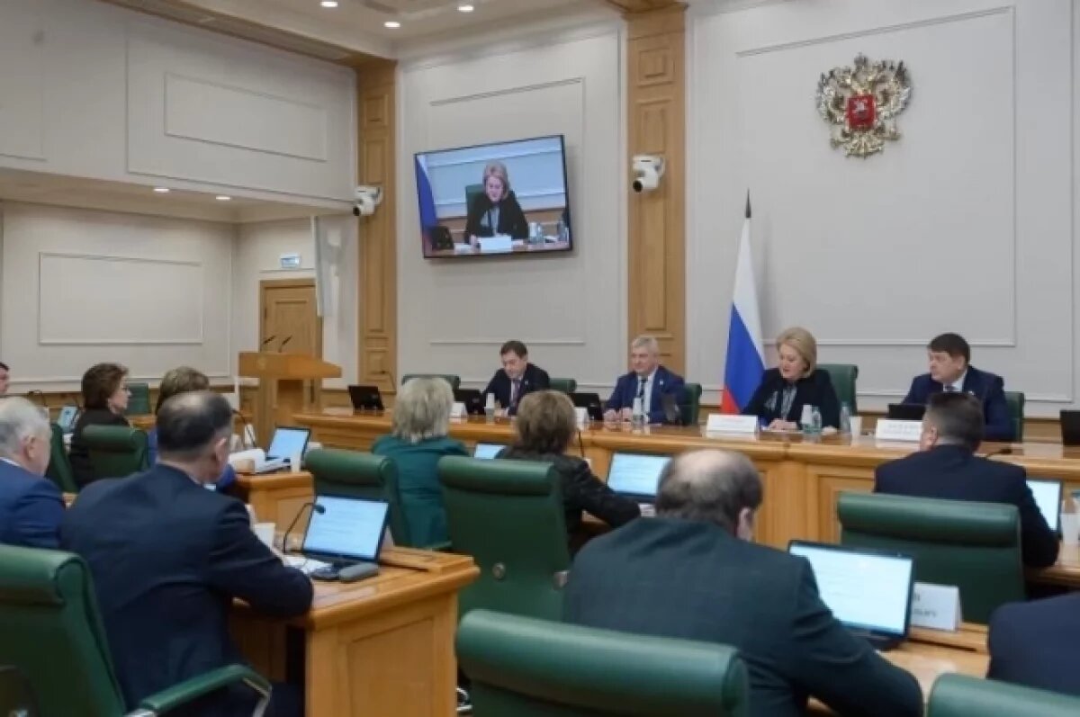    Совфед поддержал проект реконструкции Воронежского театра оперы и балета