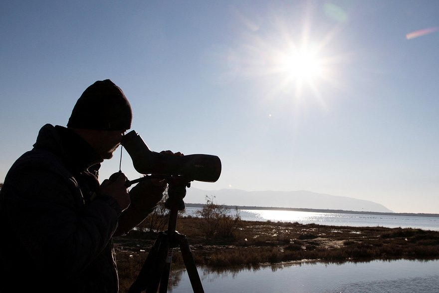    Фото: Florion Goga / Reuters