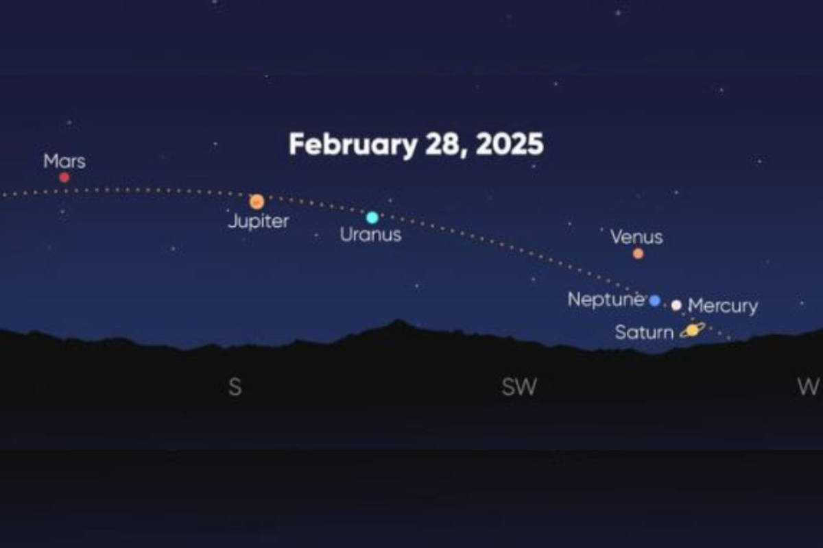    Фото: пресс-служба Пермского Политеха