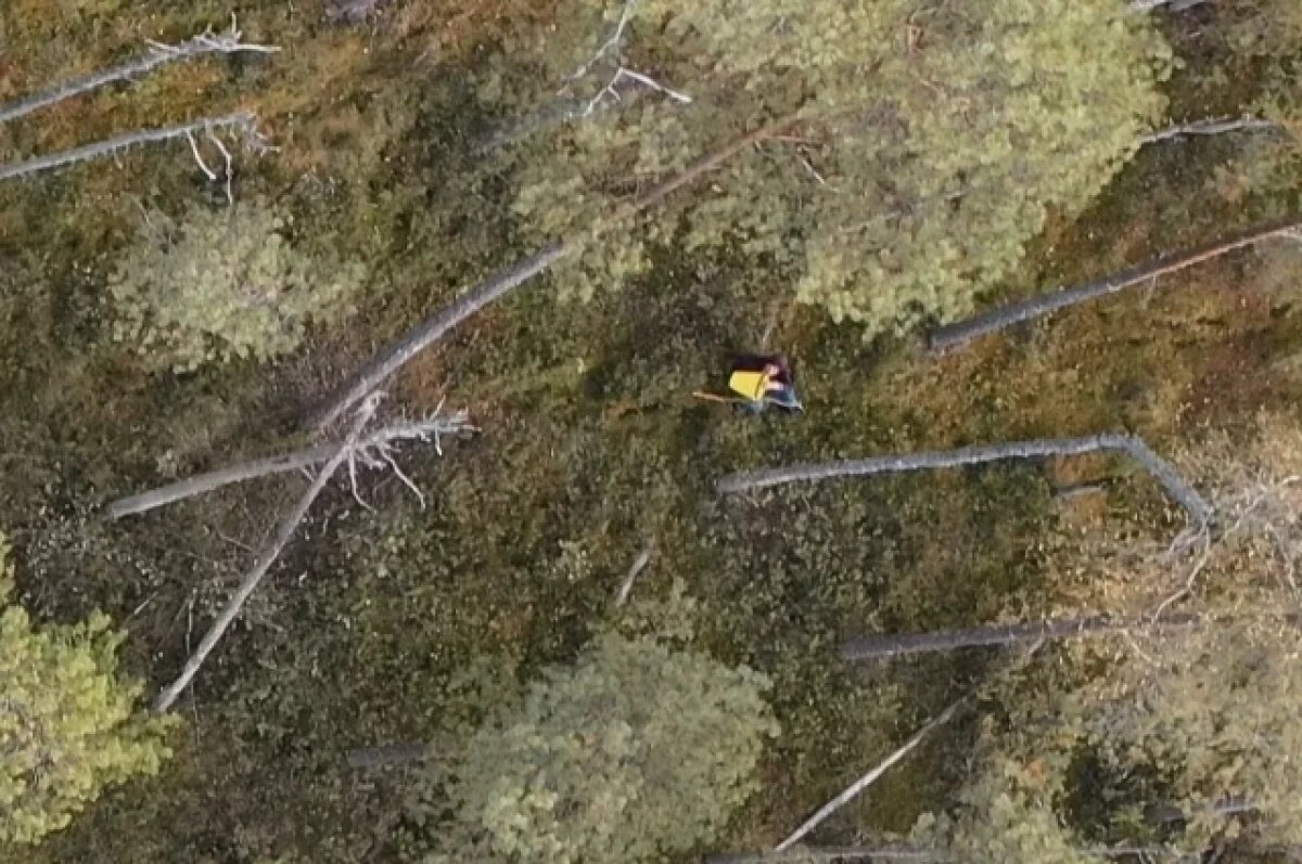    В Крыму завершился сезон охоты на основные виды охотничьих животных