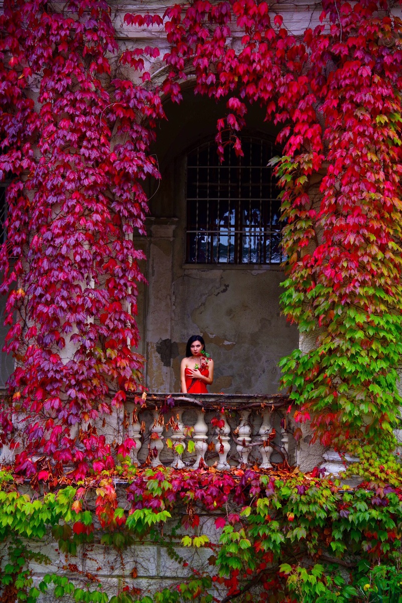 Санаторий Орджоникидзе 