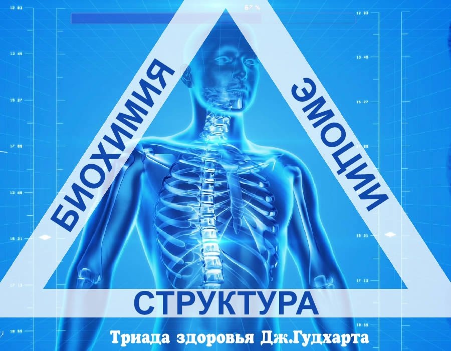 Джордж Гудхарт - доктор хиропрактики, автор научных трудов и лекций по прикладной кинезиологии с 1964 года, основоположенник метода. Источник картинки: интернет