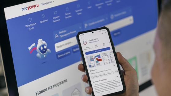    На "Госуслугах" запустили новый сервис для тех, кто выходит на пенсию Ирина Петрова