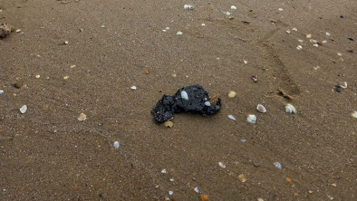    Фото: Оперативный штаб Краснодарского края