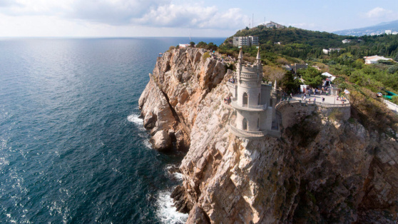    Кошка Муся, сброшенная с замка "Ласточкино гнездо" в Крыму, найдена живой Андрей Бурков