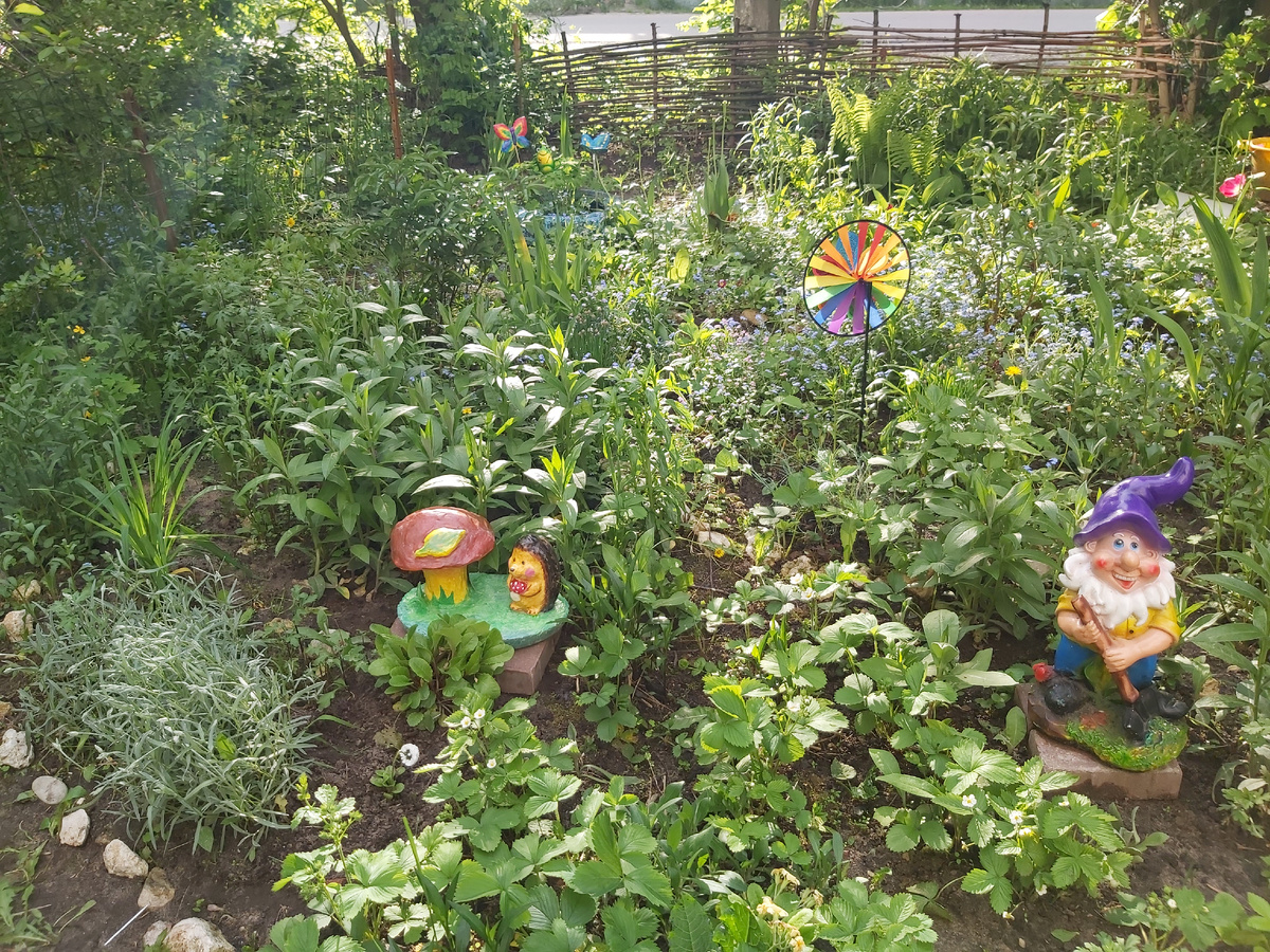 Наш палисадник