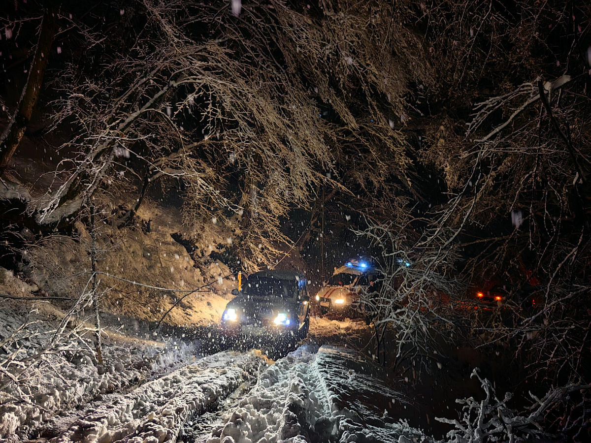 фото: sochi.ru  📷
