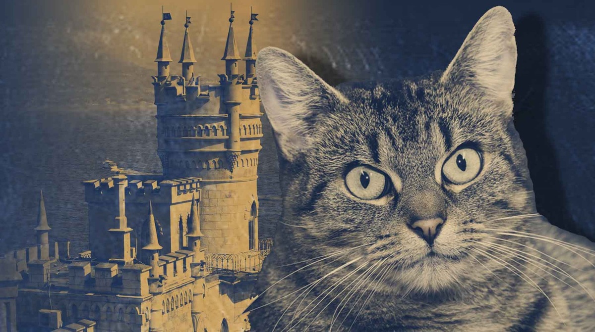    Коллаж: Daily Storm