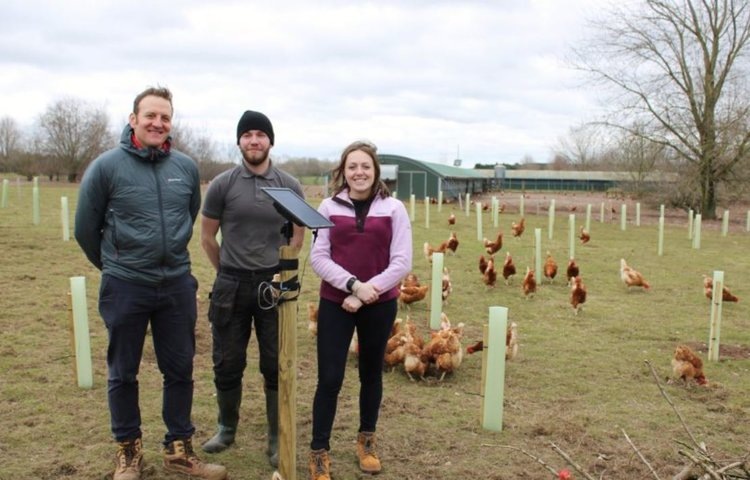    Органическая куриная ферма в Великобритании внедрила биоакустическую технологию для мониторинга пчел