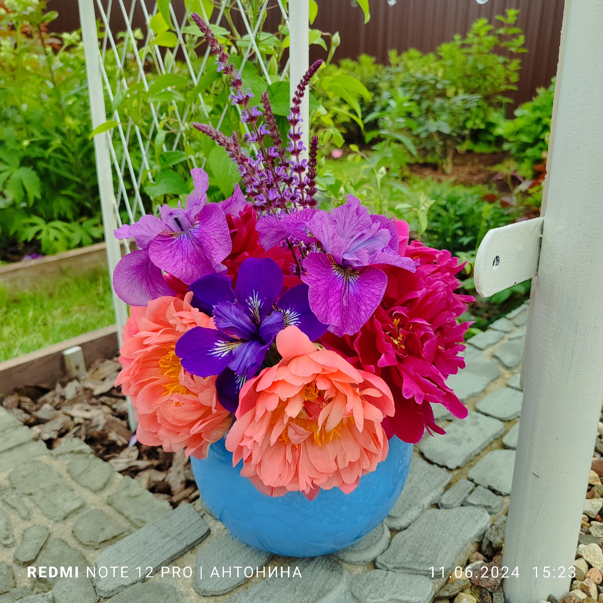 Шалфеи в букете с ирисами и пионами.