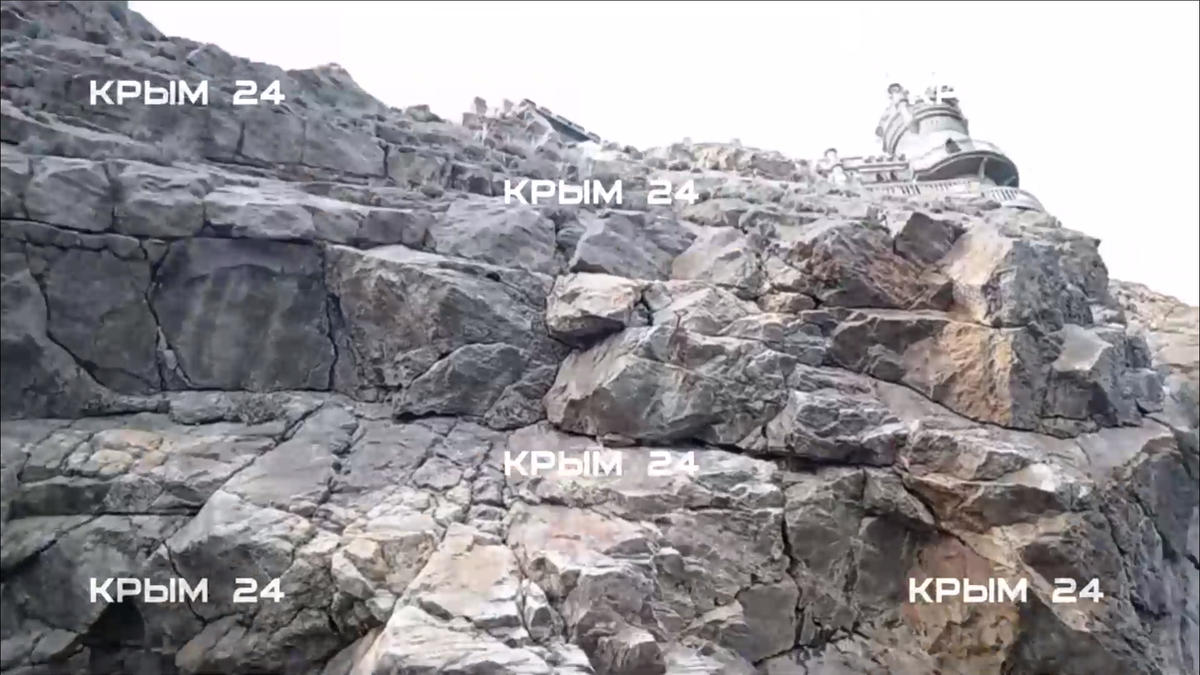    Кошка Муся выжила после того, как ее сбросил живодер с «Ласточкиного гнезда» в Крыму Белов Михаил Александрович