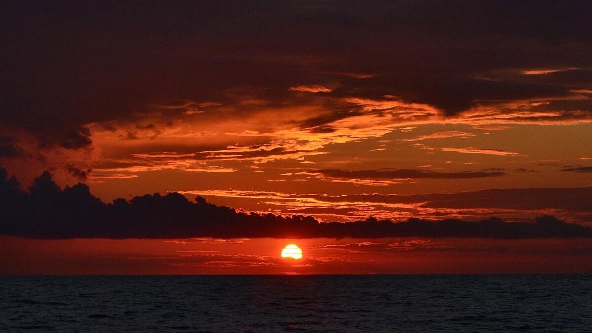    Фото: телеканал «Краснодар»