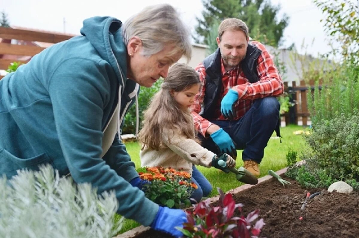    Волгоградцев будут жестко штрафовать за брошенные дачи и участки