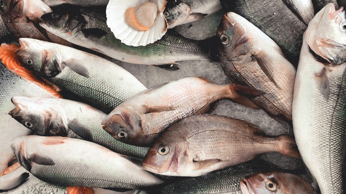 karl muscat/Unsplash