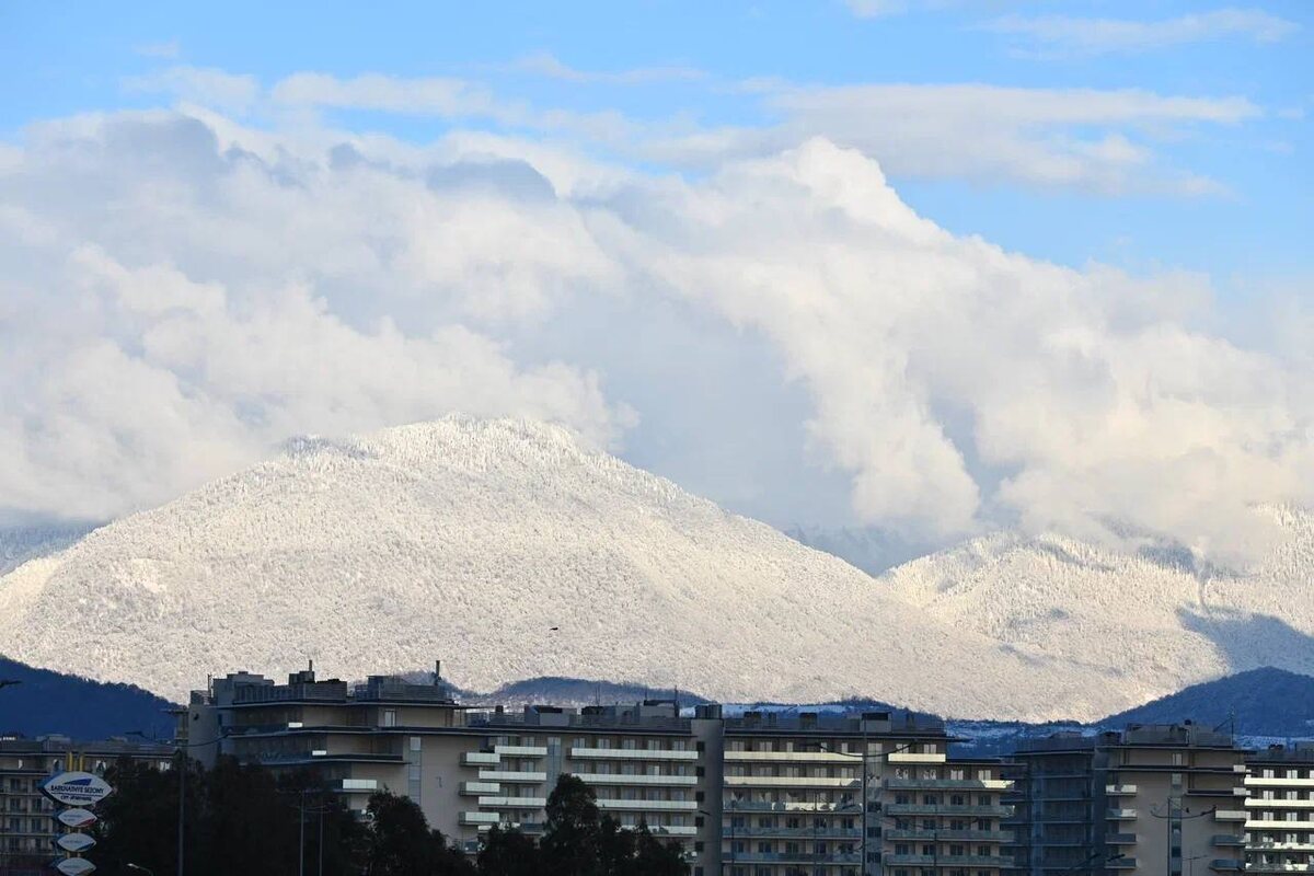 Фото: Telegram/Сириус Сегодня  📷

