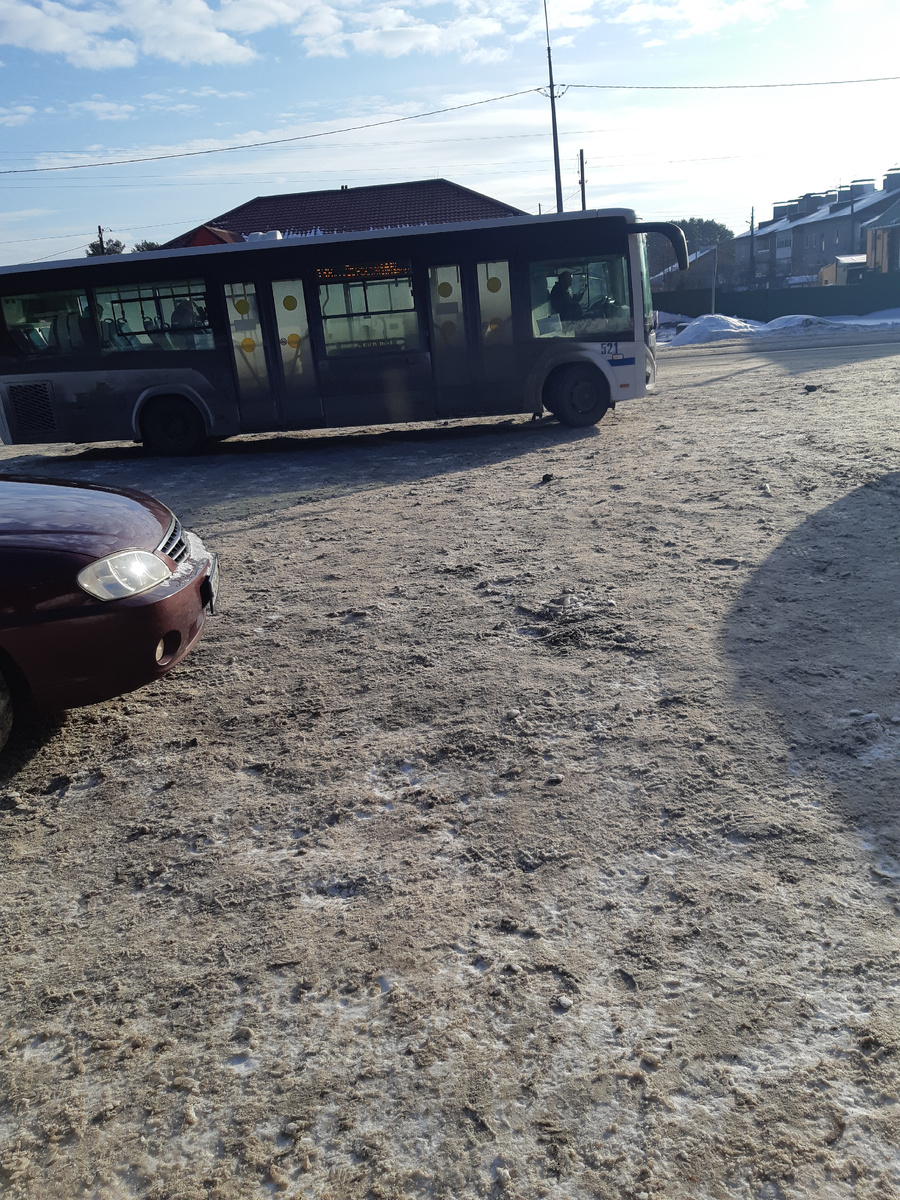 Свекровь благополучно добралась до дома.