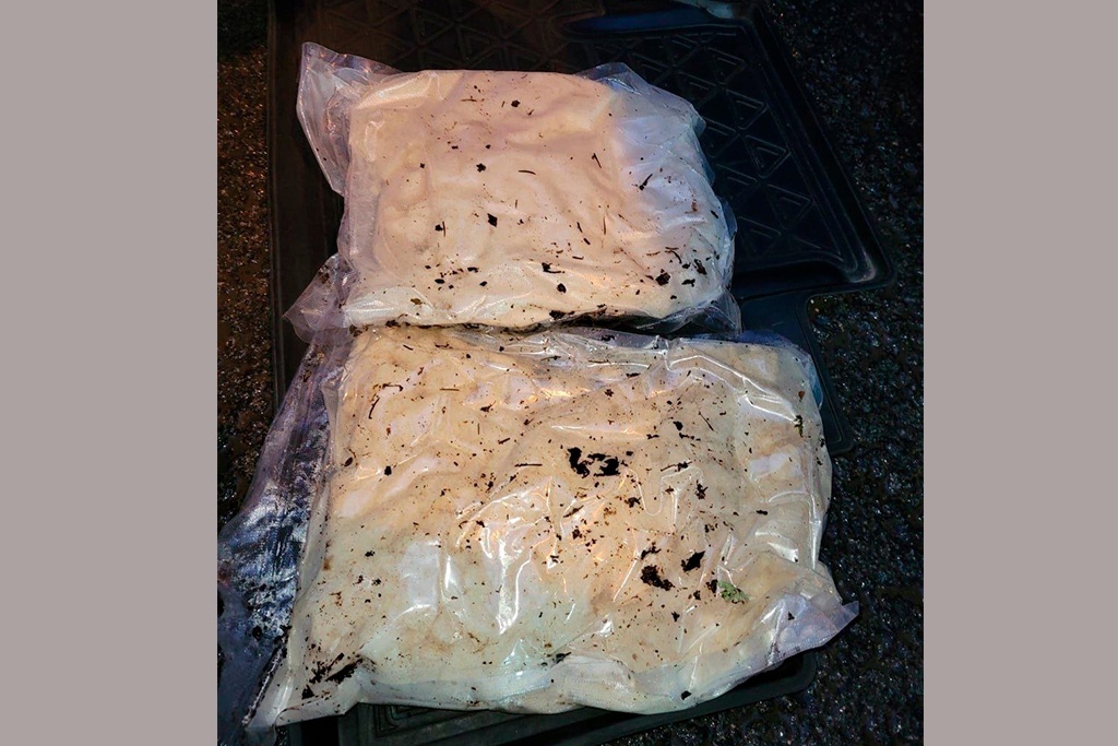    Машину с запрещенными веществами остановили на трассе в Вологодском округе.