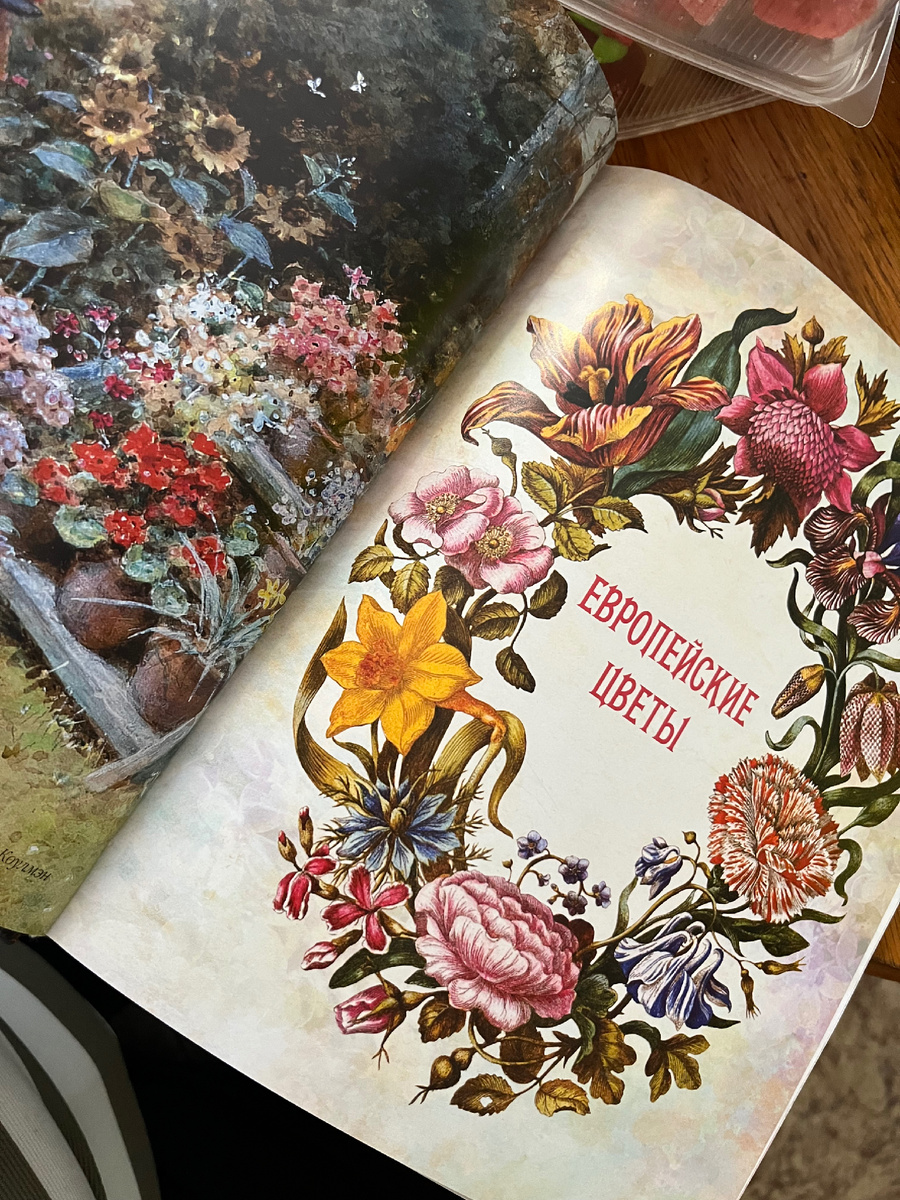 Фото автора. Как вам эта красота?