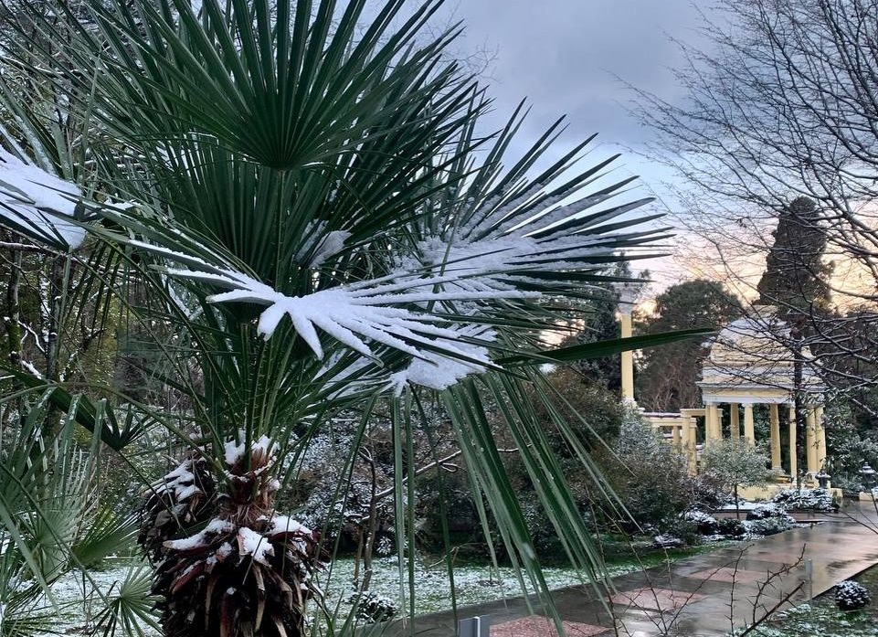 Фото: Telegram/Сочинский национальный парк  📷
