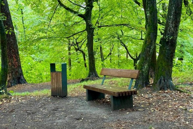   Фото из архива Калининград.Ru