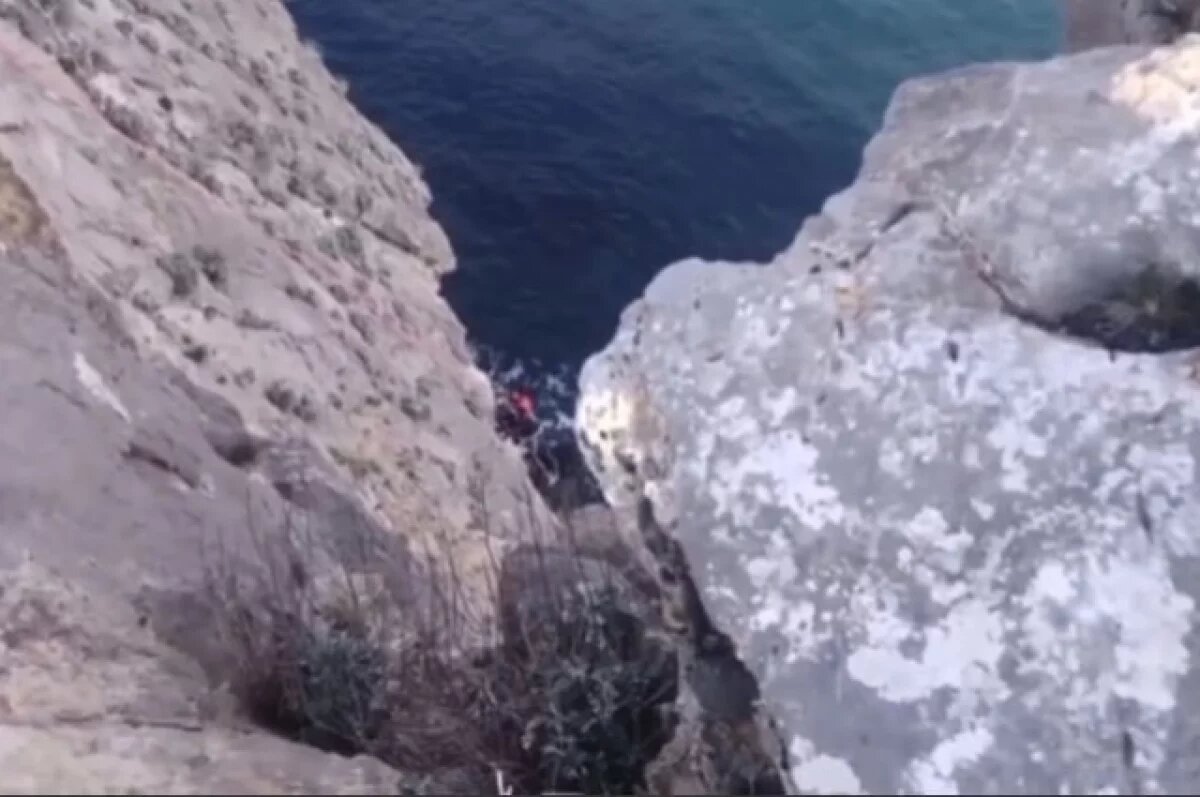    Сброшенную туристом кошку Мусю спасли альпинисты в Крыму