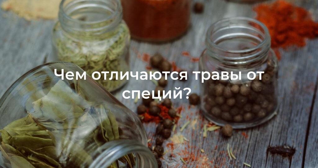 Чем отличаются травы от специй?