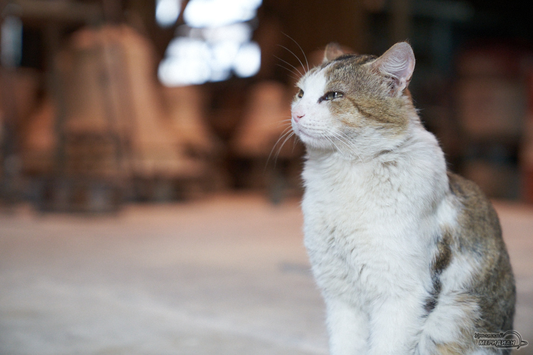    Фото: Лидия Аникина © ИА «Уральский меридиан»