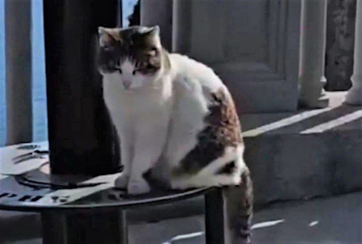     / Источник: Кадр из видео