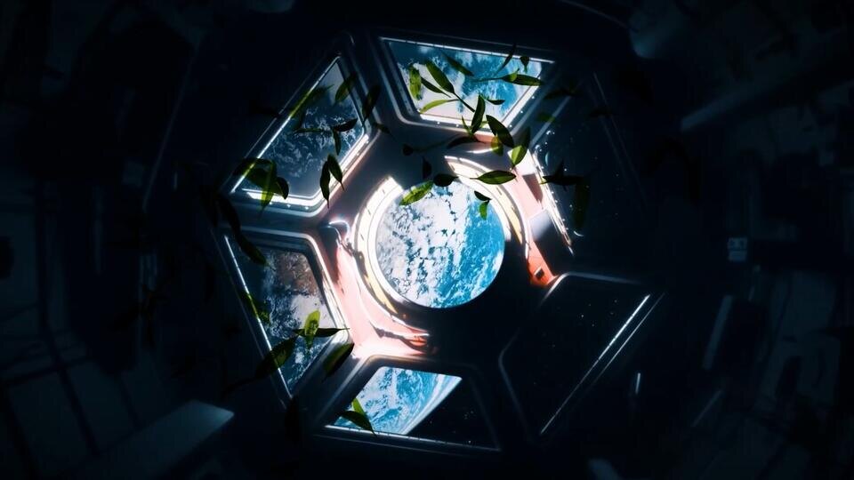 Фото: © Кадр из программы "Наука и техника", РЕН ТВ