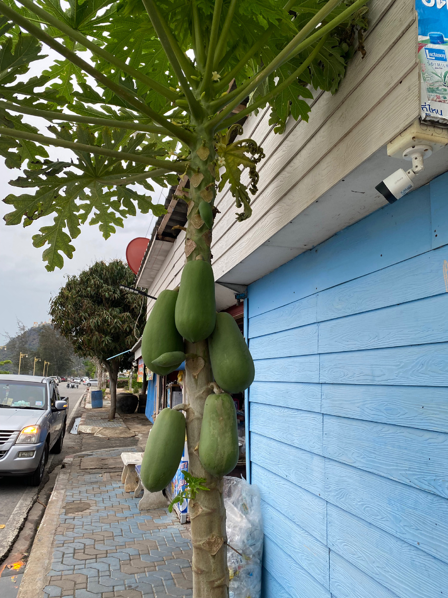 Не испугались злодеи видеокамер... если конечно они работают.