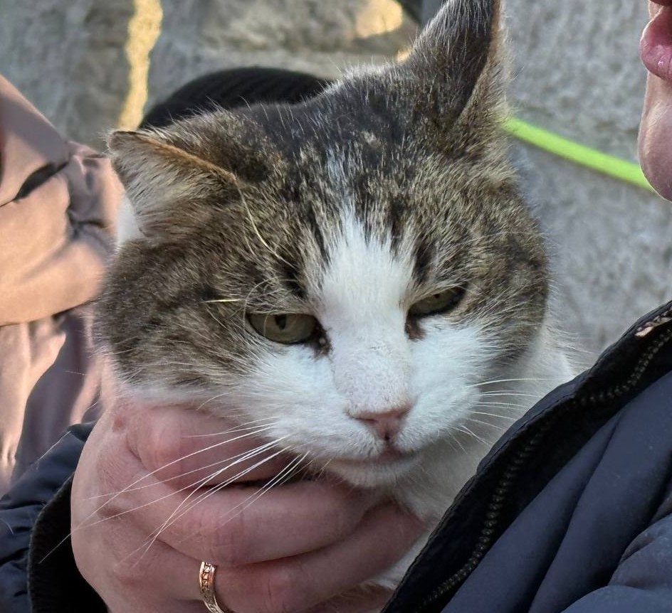 Фото главы администрации Ялты Янины Павленко