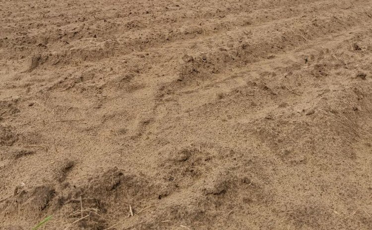    Исследование факторов деградации и опустынивания сельхозугодий провели ученые ФНЦ РАН