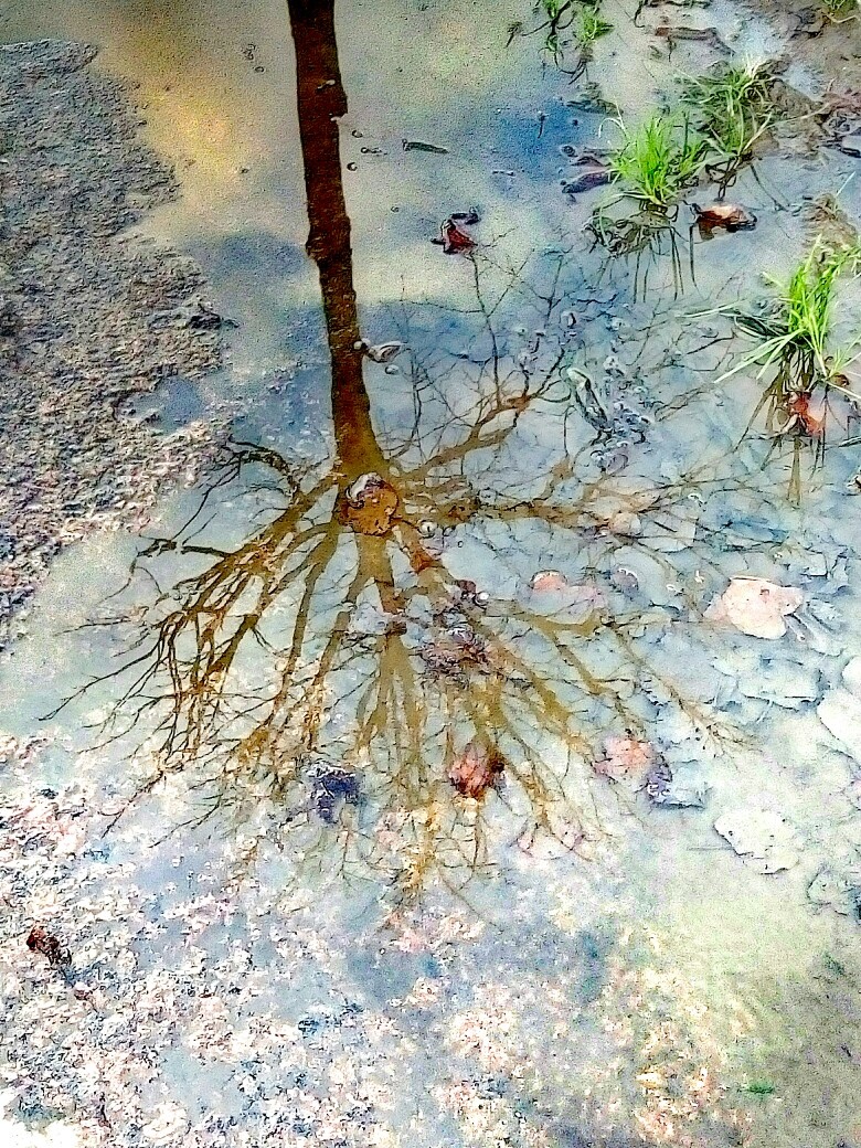 Состояние. Фото автора