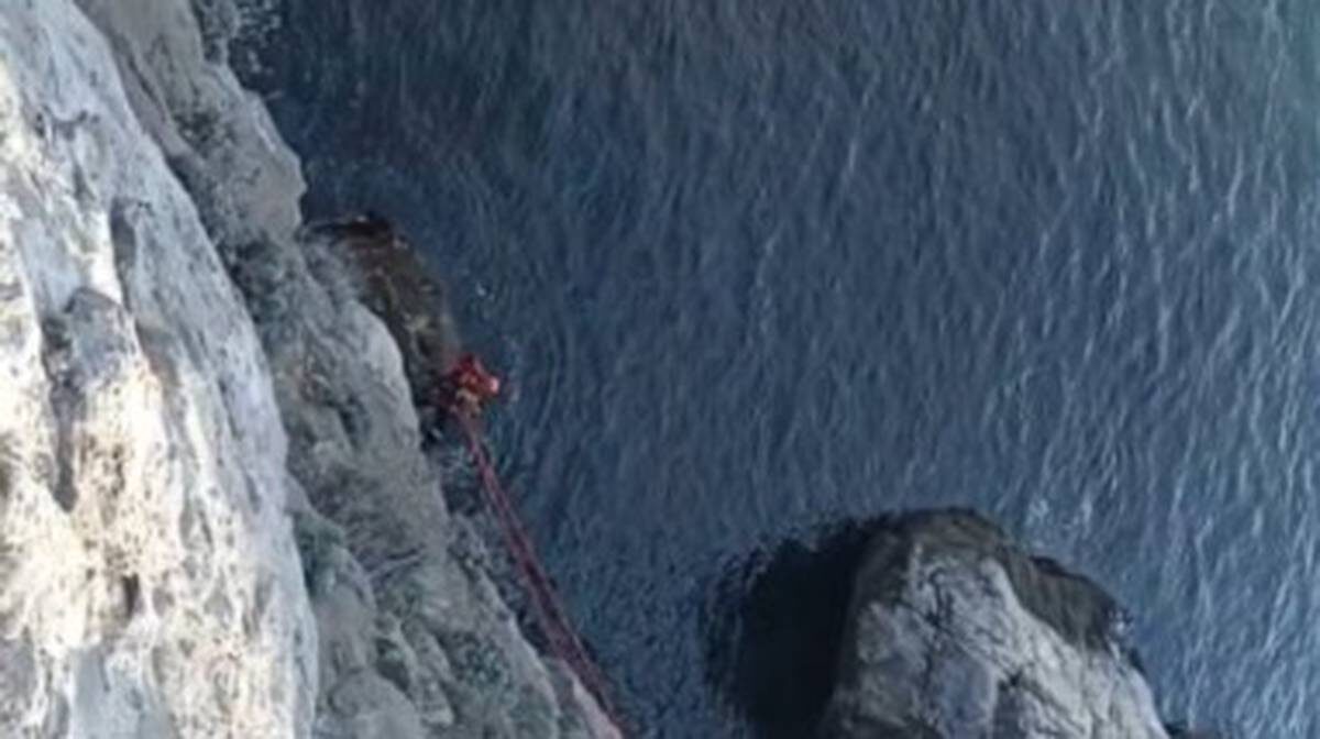    Фото: Telegram-канал RT / скриншот