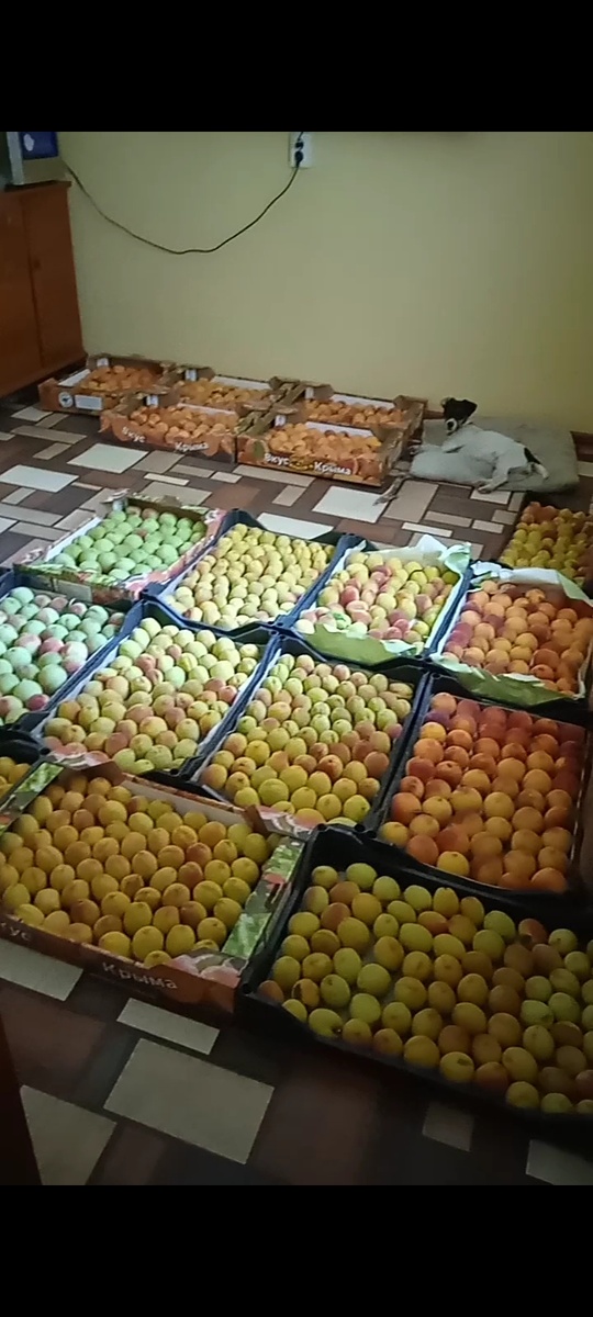 Будни садовода