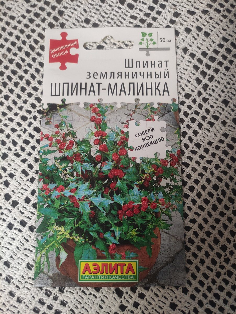А какое красивое ботаническое название у этого шпината - марь многолистная. Относится к семейству Амарантовые.