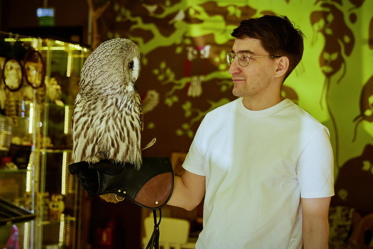 @Совиный Дом