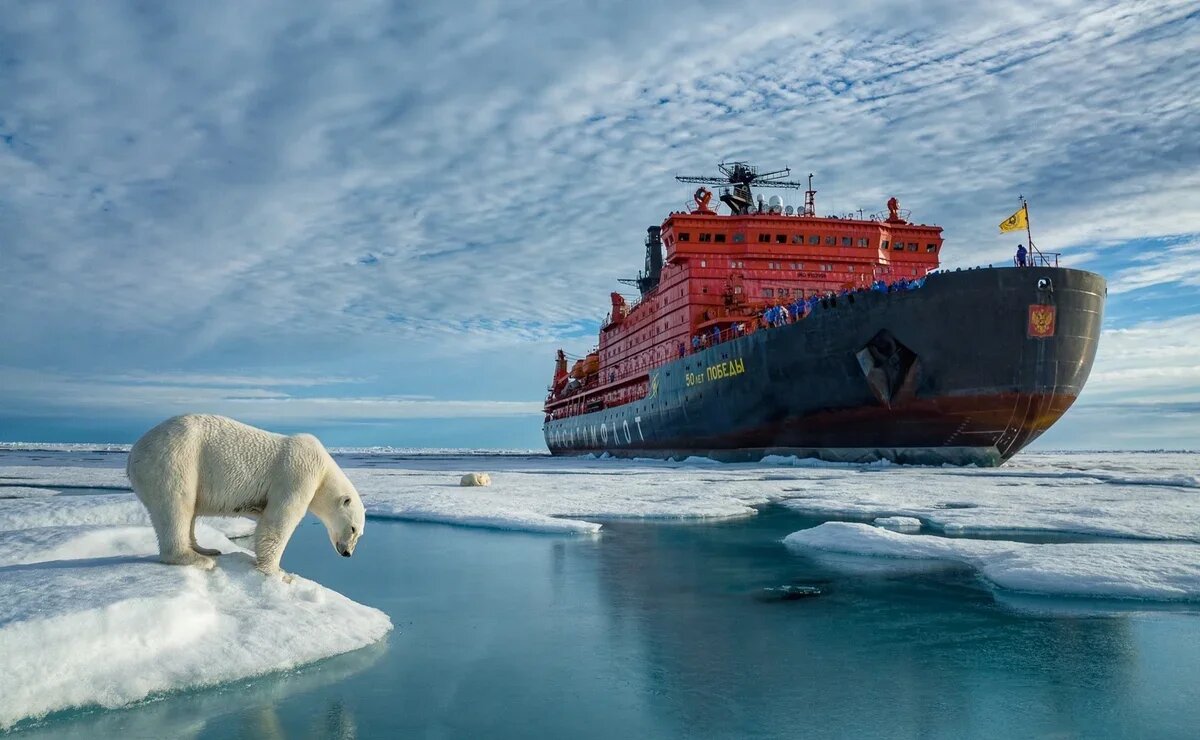    Туроператор - член АТОР поддержит проведение «Арктического диктанта» в Москве