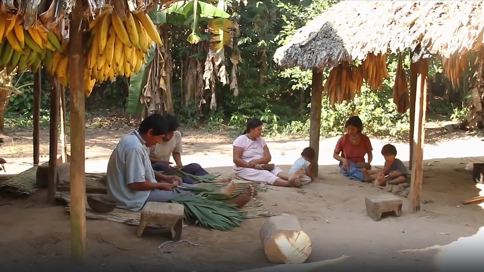 Фото: © Кадр из программы "Загадки человечества", РЕН ТВ