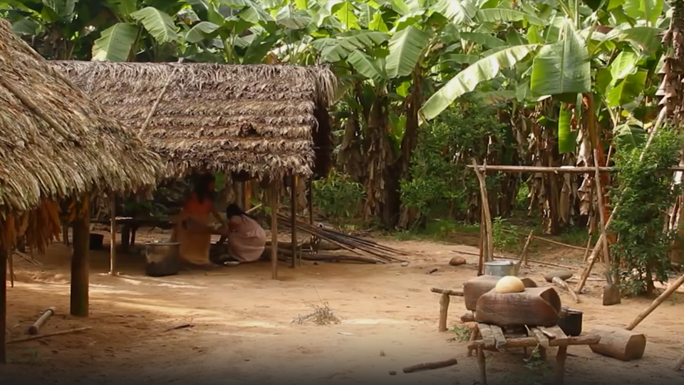 Фото: © Кадр из программы "Загадки человечества", РЕН ТВ