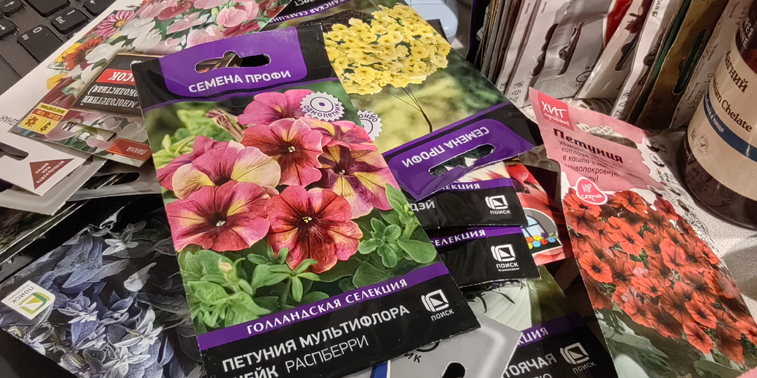 10 цветов, которые пора сеять на рассаду уже сейчас