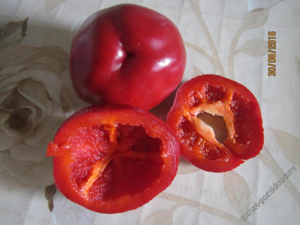 фото из интернета