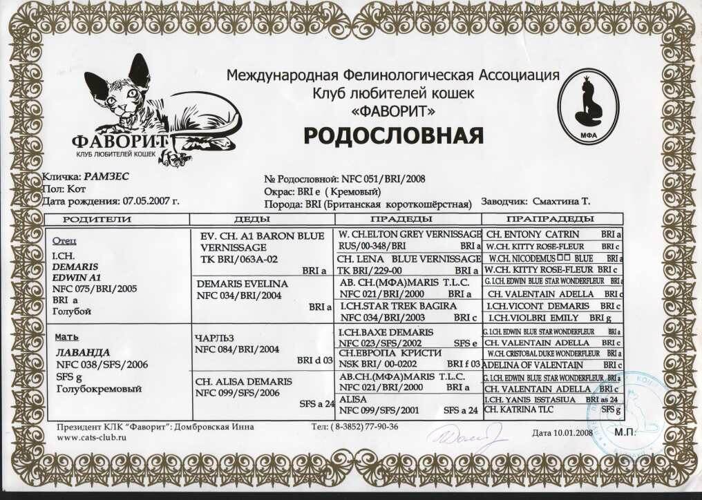 Родословная на 4 колена 