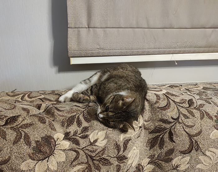 Воплощение невинности