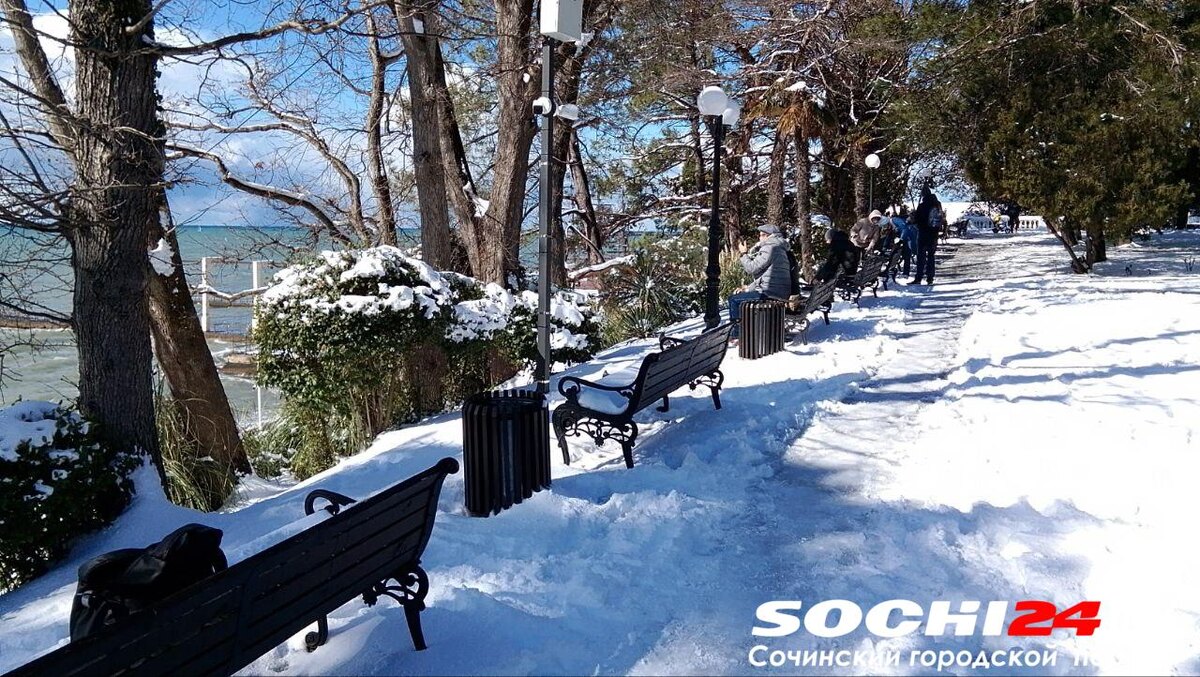 Фото: Сочи 24  📷
