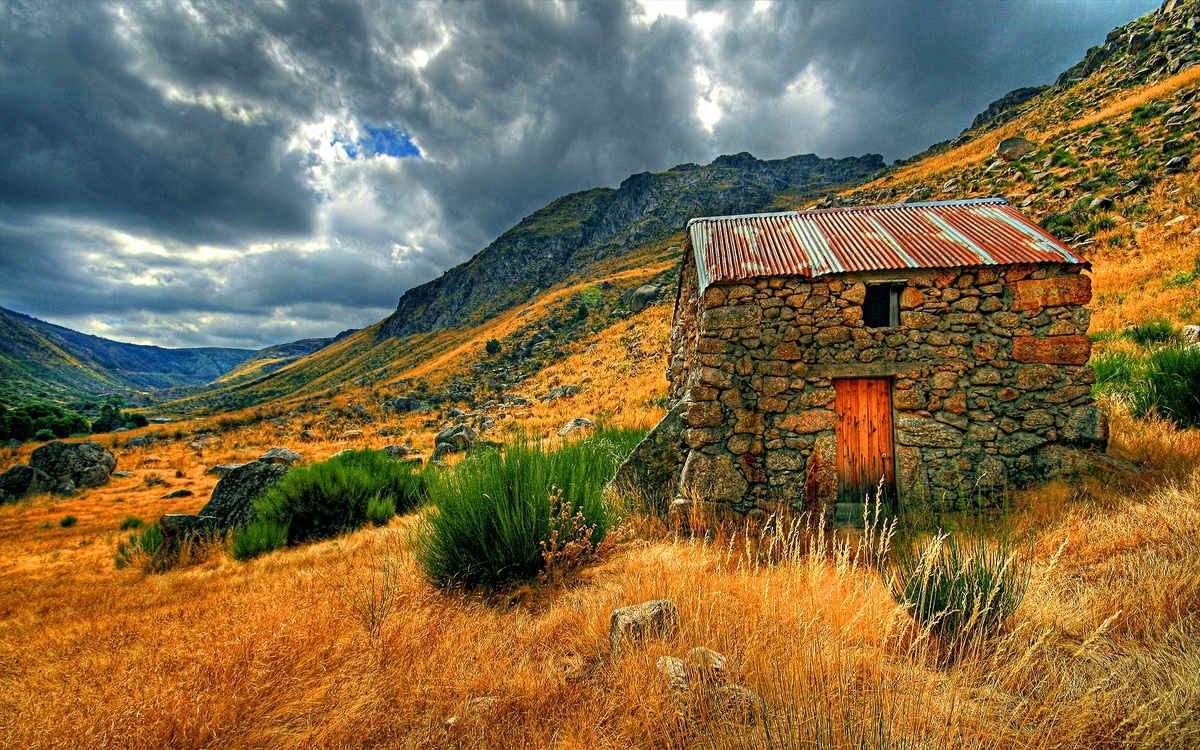 Фото из интернета. Просто для создания настроения.