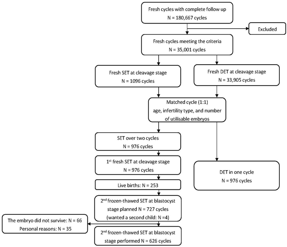 Рисунок 1. Блок-схема исследования. SET - перенос одного эмбриона; DET - перенос двух эмбрионов.