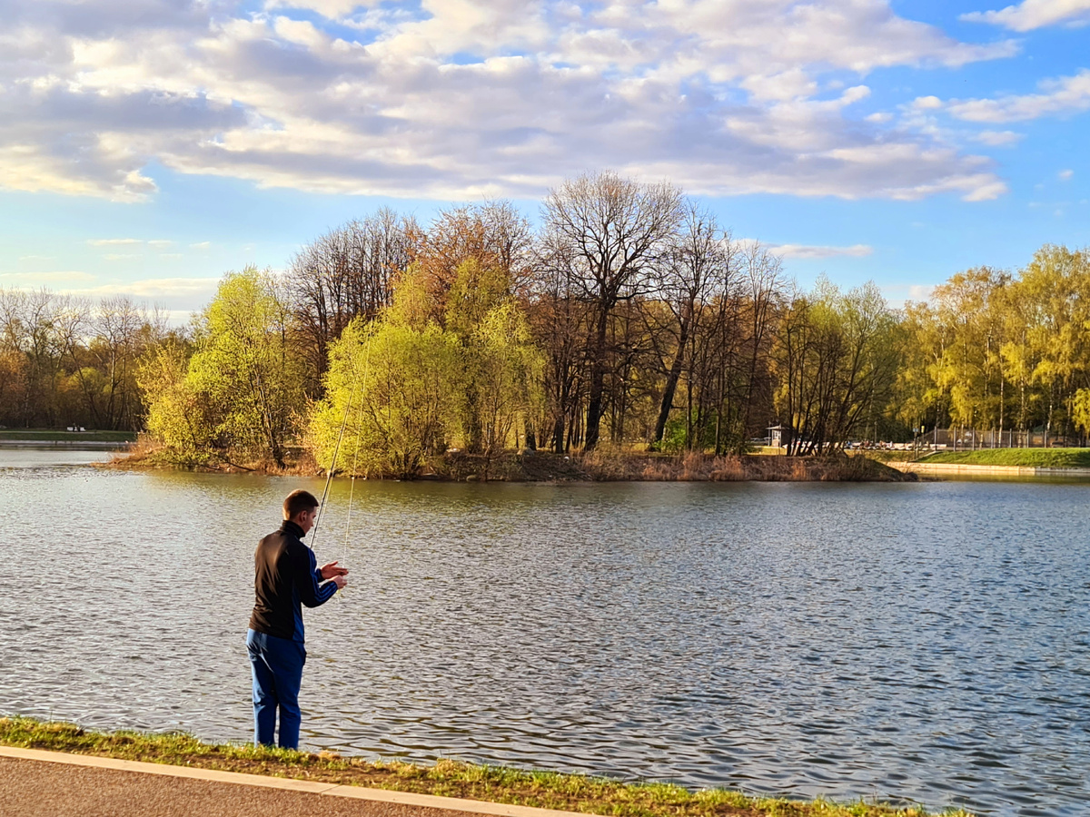 Остров в Кусково, фото автора